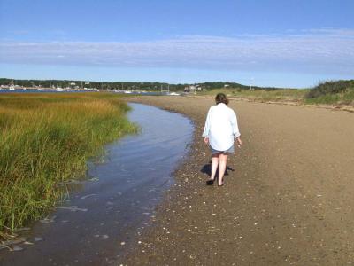 Wellfleet 1.jpg