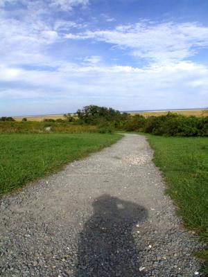 self portrait - Fort Hill .jpg