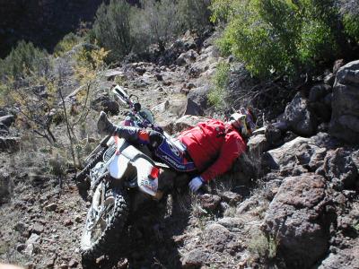 Ed Taking a nap, Caught between rock and bike