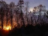 DSC05012.JPG