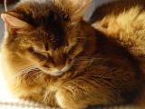 DSC05246.JPG