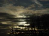 DSC09229.JPG