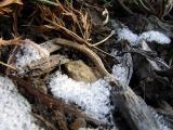 December 21, 2004<br><font size=2>I Smell Winter</font><br>Day 229