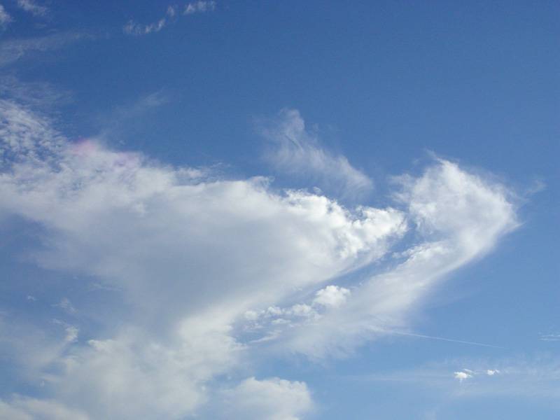 DSC02404.JPG