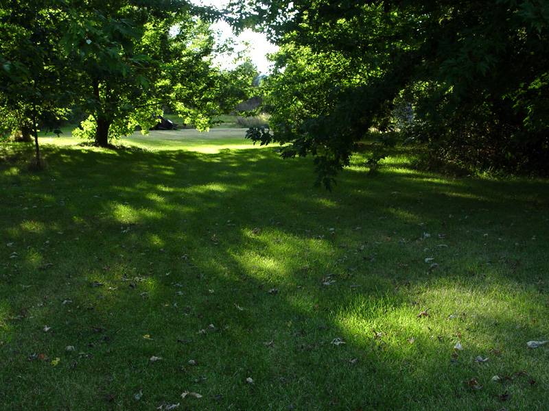 DSC03026.JPG