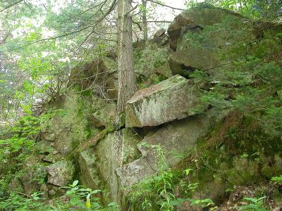 lichen-rocks.jpg