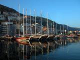 157 Fethiye line up
