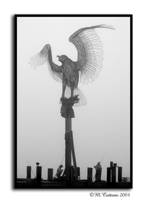 <b>If I could fly*</b><br><i>by Mike C<br><b>8th Place</b>