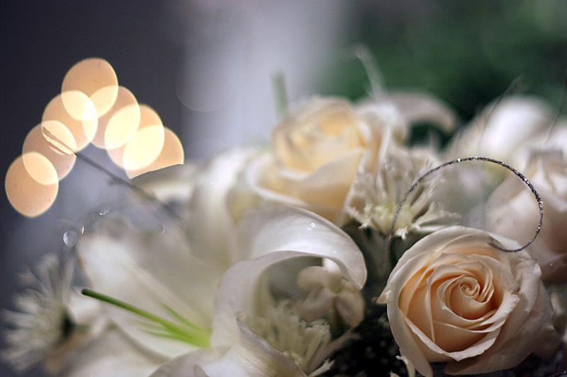 wedding bliss