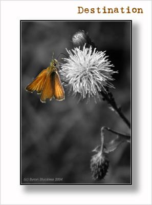 Destination *by Byron Stuckless