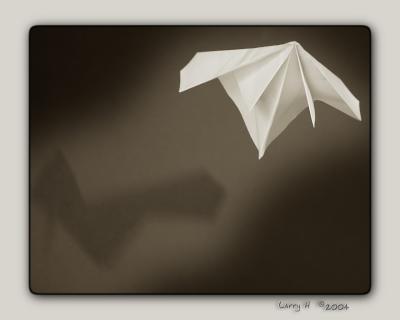 Paper Flight*by Larry