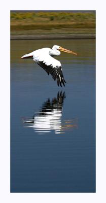 Reflections*
