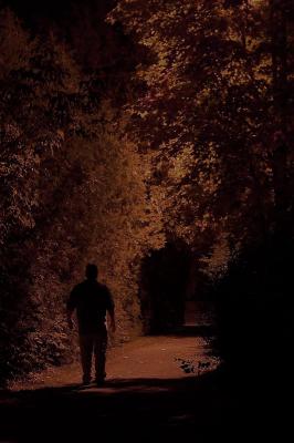The Shadows *by Mike Alexander