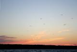 Sunset Glide by jude  mc