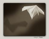 <B>Paper Flight*</B><br><i>by Larry</i>