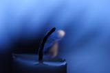 <b>8th Place</b><br><i> Last Breath <br>by designboy</i>