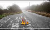 <b>1st Place</b><br>Road *<br><i>by iso3200</i>