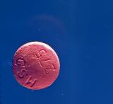 the miracle pill*