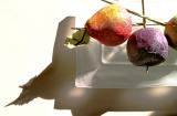 Fake Fruit on White Glass *