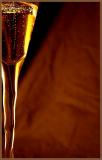 Champagne Toast...