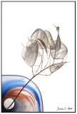<b>1st Place</b><br><i> out of the vortex<br>by Dana C. Voss