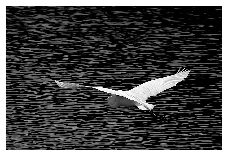 Glide *