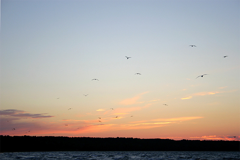 Sunset Glide by jude  mc