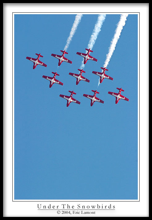 <b>Under the Snowbirds</b><br>by Eric Lamont *