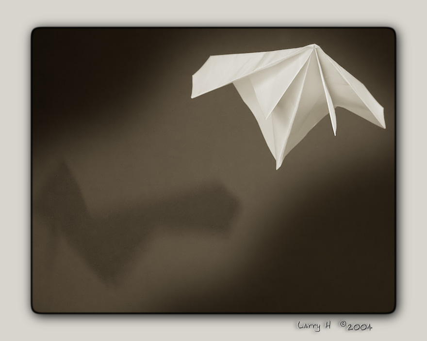 <B>Paper Flight*</B><br><i>by Larry</i>