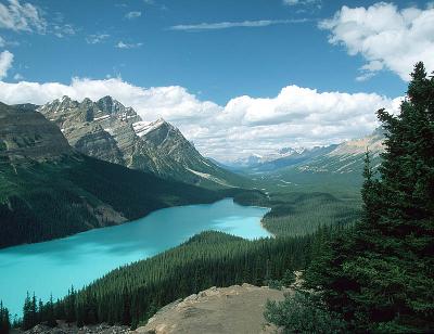 Peyto Lake, Banff N.P Alberta