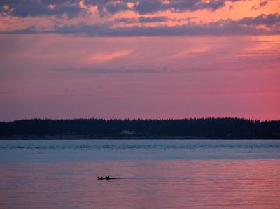 Ducks on Puget Sound at Sunset