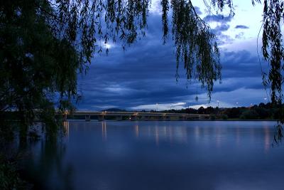 Framed by Foliage (*)