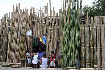 Framed by Bamboo *