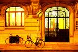 lonely bikes *