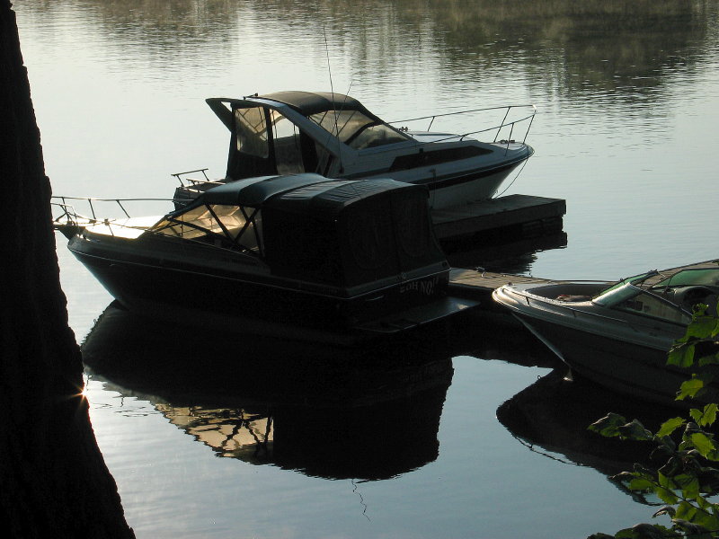 Morning Reflection *
