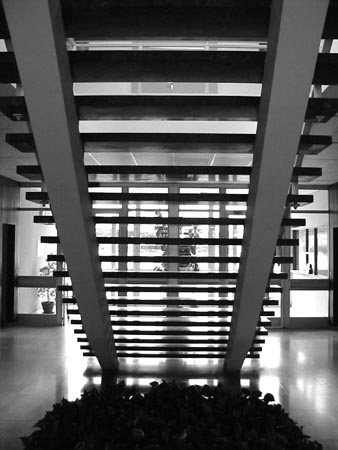 Escaliers