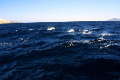 CRW_3305.jpg
