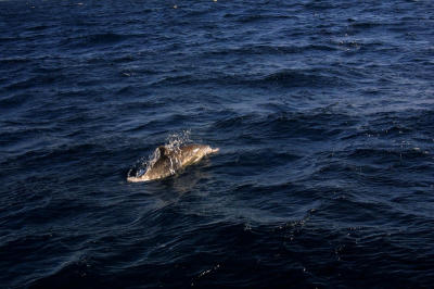 CRW_3306.jpg