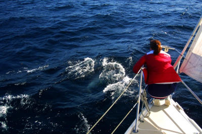 CRW_3312.jpg