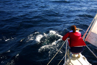 CRW_3313.jpg