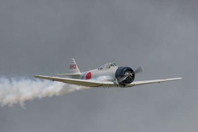 IMG_6082-web.jpg