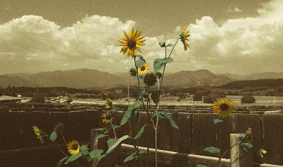west_04.jpg