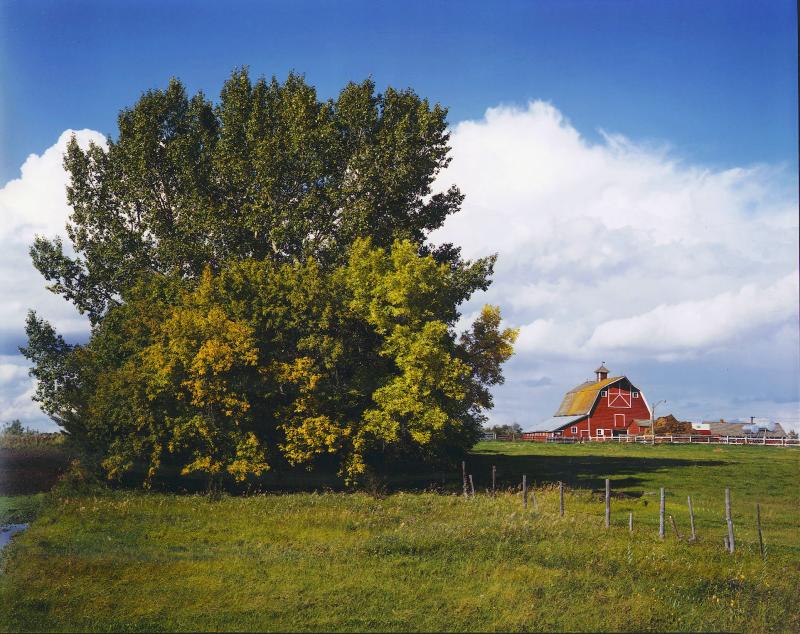 farm, near Camrose Alberta.