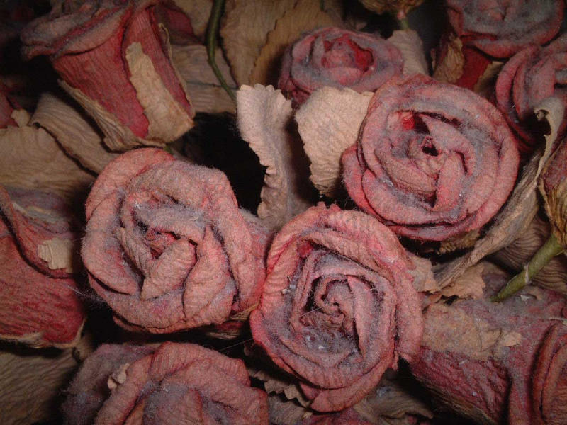 decay