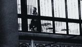 Man through bars
