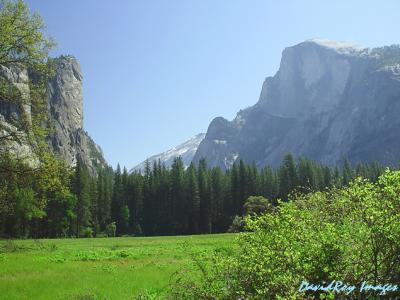 Half Dome  YNP 1