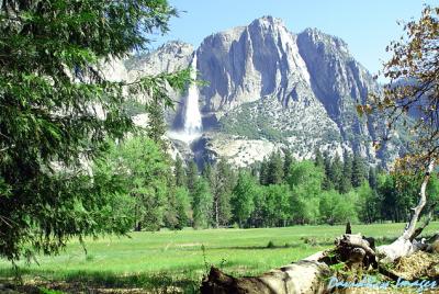 Yosemite Falls YNP 10