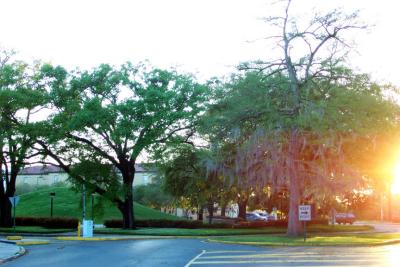 Inidian Mounds