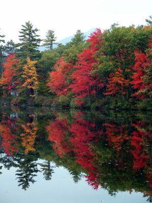 Chocorua Lake, NH: Firey Reflection II