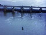 Fishing the Dam.jpg
